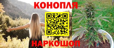 гидра Ливны