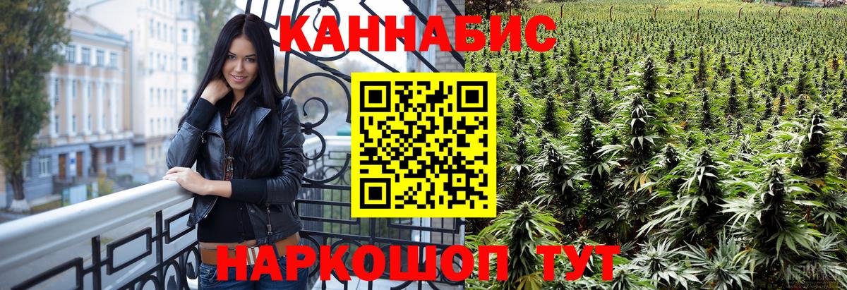 Конопля Ganja Владимир